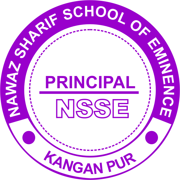 NSSE Stamp